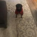 Nancy Ginder - @nancyginder782 - Instagram