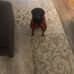 Nancy Ginder - Facebook