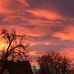 Nancy Gingerich - Facebook