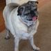 Nancy Gioia - Facebook