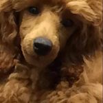 Nancy Ann Glick - @nancyannglick - Instagram