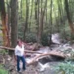 Nancy Glines - @migirl1130 - Instagram