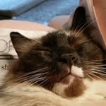 Nancy Glines - @nancy.glines - Instagram