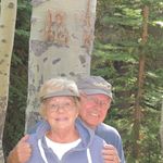 Nancy Godfrey - @ngodfrey40 - Instagram