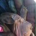 Nancy Goettel - Facebook