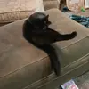 nancygoode66 - @nancy131989 - TikTok