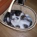 Nancy Goodrich - Facebook