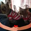 Nancy Goodrich - @nancy.goodrich - TikTok