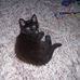 Nancy Goodrich - Facebook