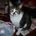 Nancy M Goodrich - Facebook