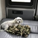 Nancy Goodspeed - @nlgoods - Instagram