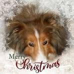 Nancy Quelch Goodspeed - Facebook