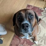 Nancy Costello Goslin - @costellogoslin - Instagram