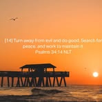 Nancy Goslin - Facebook