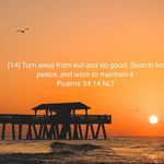 Nancy Goslin - @nancy.goslin - Instagram