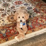 Nancy Gosnell - @gosnell9870 - Instagram