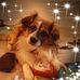 Nancy Gosnell - Facebook
