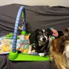 nancy gosnell - @nancy.gosnell - TikTok