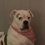 Nancy Gosney - @nancy.gosney.5 - Instagram