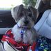 Nancy Gossard - Facebook