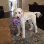 Nancy Gottlieb - @gottliebnj1 - Instagram