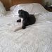 Nancy Gottlieb - Facebook