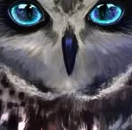 Nancy Gottschall - Facebook