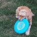 Nancy Gove - Facebook