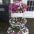 Nancy Gove - Facebook