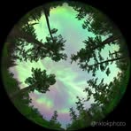 Nancy Gower - Facebook