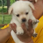 Nancy Grady - @nancy.grady.773 - Instagram