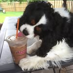 Nancy Grady - @nancygrady - Instagram