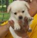 Nancy Grady - Facebook