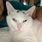 Nunzia - @nancy_granato11 - Instagram