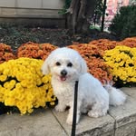 Nancy Greenspan - @nancygreenspan - Instagram