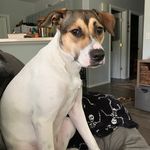 Nancy Greenwell - @greenwell5304 - Instagram