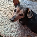 Nancy Greenwell - Facebook