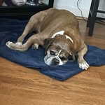Nancy Gregory - @nancygregory787 - Instagram