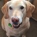 Nancy Gregory - Facebook