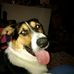 Nancy Gregory - Facebook