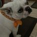 Nancy Gress - Facebook