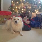 Nancy Gress Berardi - @gmawmaw6 - Instagram