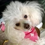 Nancy Griffith - @griffithnanc - Instagram