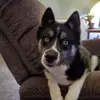 Nancy Griffith - @nancy.griffith42 - TikTok