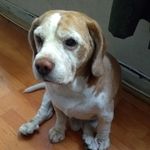 NANCY GRIMALDI - @grimaldi7727 - Instagram
