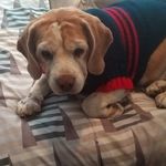 Nancy Grimaldi Guerreo - @grimaldiguerreo - Instagram