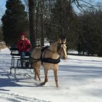Nancy Lee Grimsley - @nancygrimsley8961 - Instagram