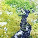Nancy Grondin - @grondin_nancy - Instagram