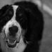 Nancy Grondin - Facebook