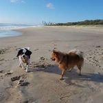 Nancy Grooms - @nancy.grooms.9 - Instagram